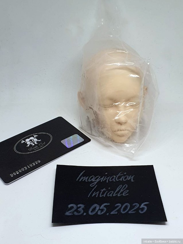 Dollshe Diana (Спящая голова)