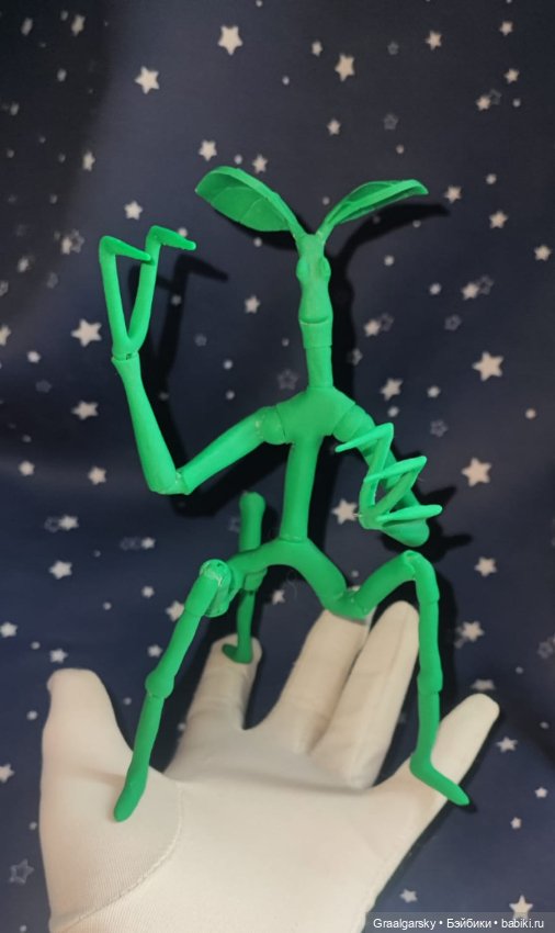 Лукотрус (Личурка) Пикетт (фото 3)