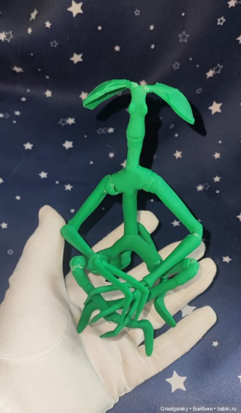 Лукотрус (Личурка) Пикетт (фото 2)