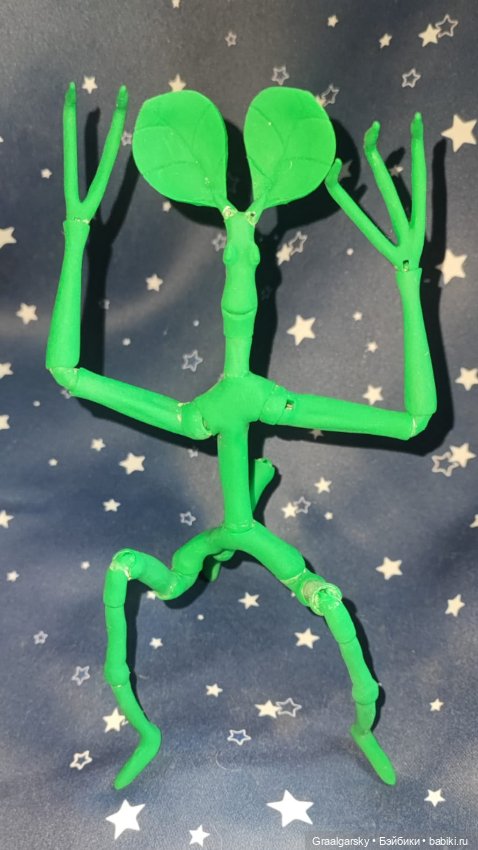 Лукотрус (Личурка) Пикетт (фото 6)