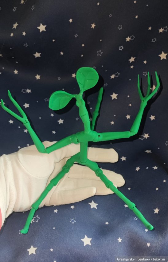 Лукотрус (Личурка) Пикетт (фото 5)