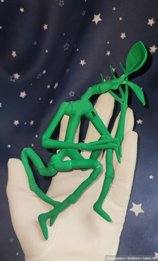 Лукотрус (Личурка) Пикетт (фото 4)