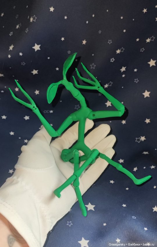 Лукотрус (Личурка) Пикетт