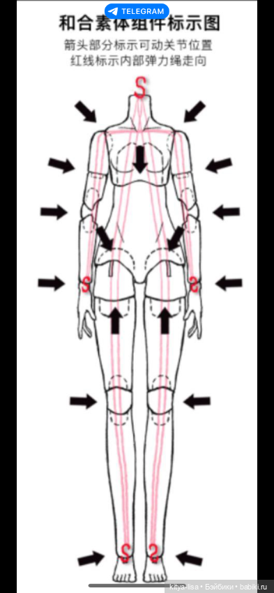 Тело бжд для Блайз от китайского мастера (фото 2)