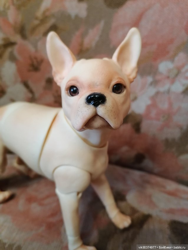 Собачка бжд Бостон -терьер (фото 8)