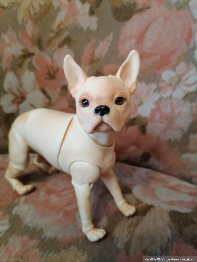 Собачка бжд Бостон -терьер (фото 7)