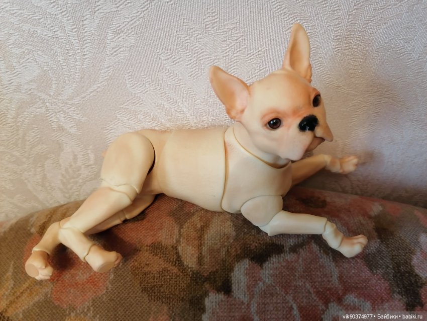 Собачка бжд Бостон -терьер