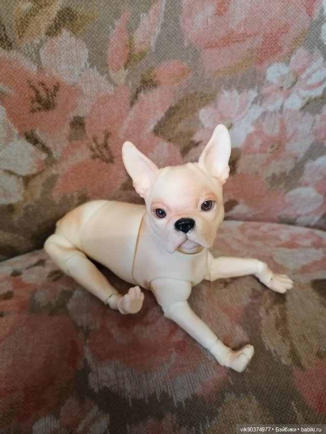 Собачка бжд Бостон -терьер (фото 4)