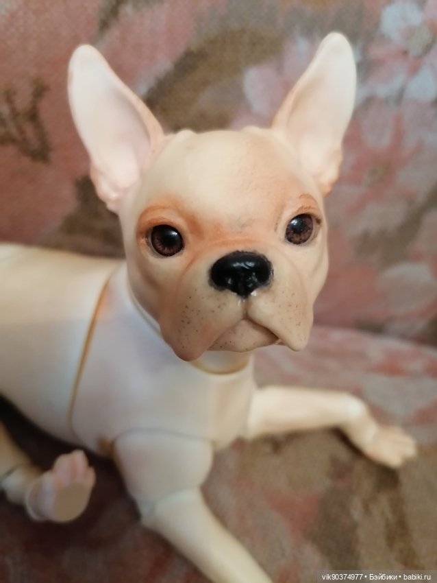 Собачка бжд Бостон -терьер (фото 5)