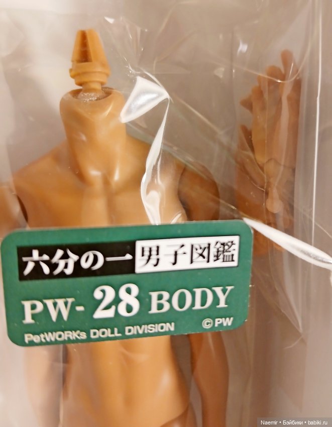 Тело petworks eight момоко парень смуглое
