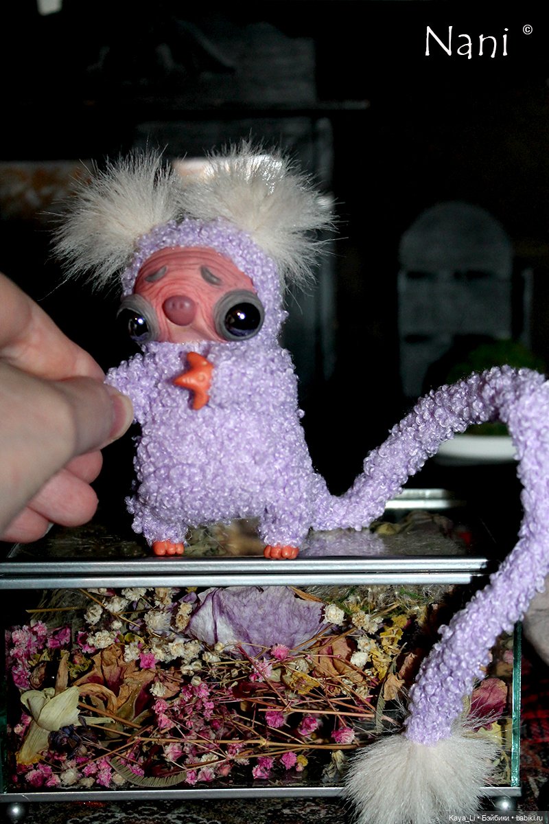 Хвостиковая суселка-бубочка Бонюся (фото 7)