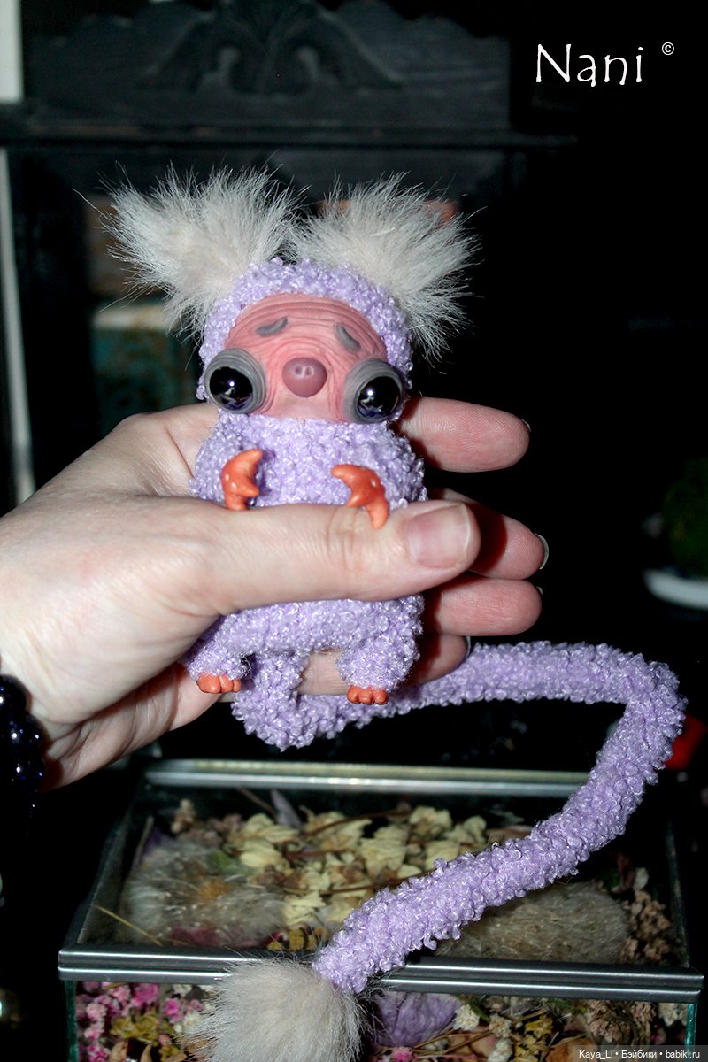 Хвостиковая суселка-бубочка Бонюся (фото 2)