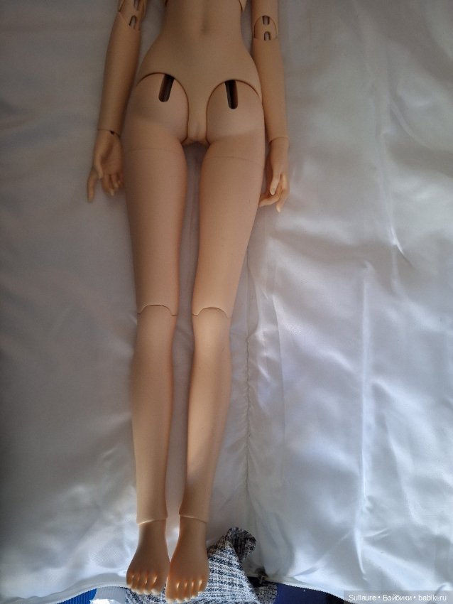 Цена снижена! Продам восхитительную девочку от PeaksWoods FOC Goldie (фото 6)