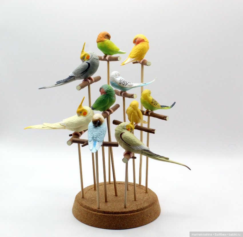 Спящие попугайчики — Игрушки для детей