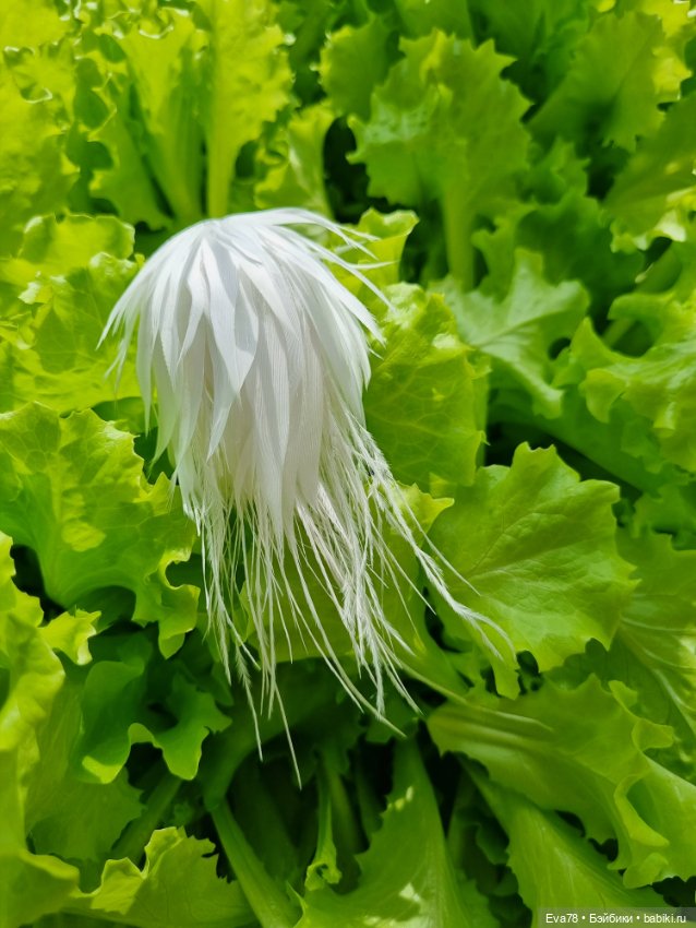 Парик из перышек на бжд куклу Иден и др (фото 7)