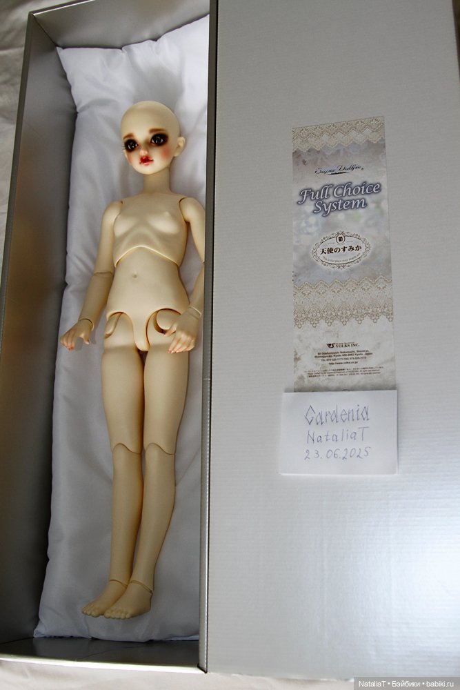 Volks FCS Elena тело SD10 Suwarikko с гардеробом