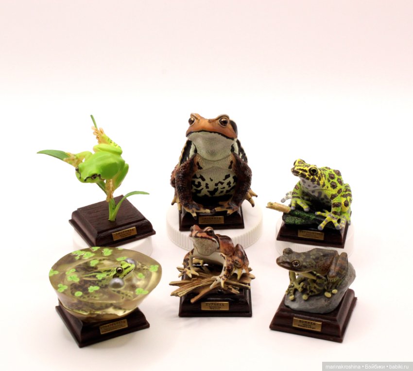 Японские лягушки коллекция