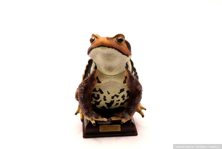 Японские лягушки коллекция (фото 5)