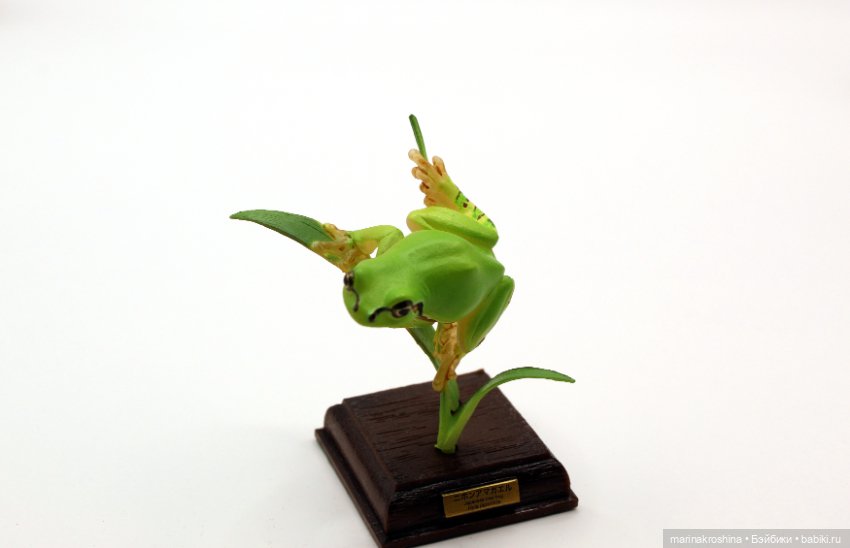 Японские лягушки коллекция (фото 6)