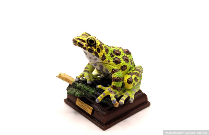 Японские лягушки коллекция (фото 3)