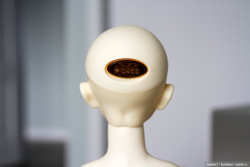 Volks FCS Elena тело SD10 Suwarikko с гардеробом (фото 3)