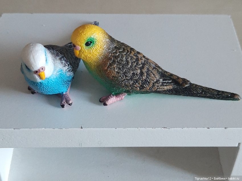 Попугайчики — Миниатюра для кукол (фото 2)