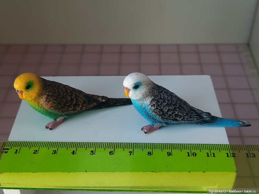 Попугайчики — Миниатюра для кукол (фото 6)