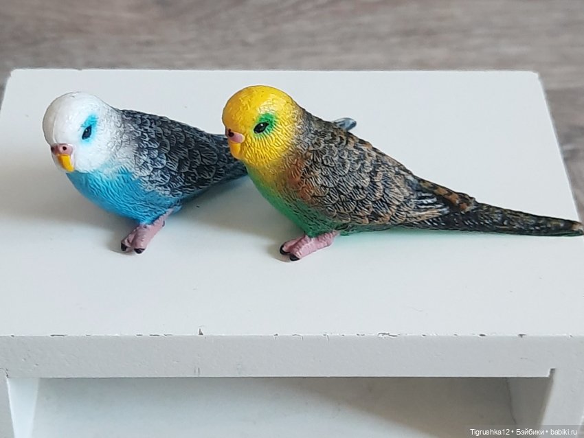 Попугайчики — Миниатюра для кукол (фото 4)