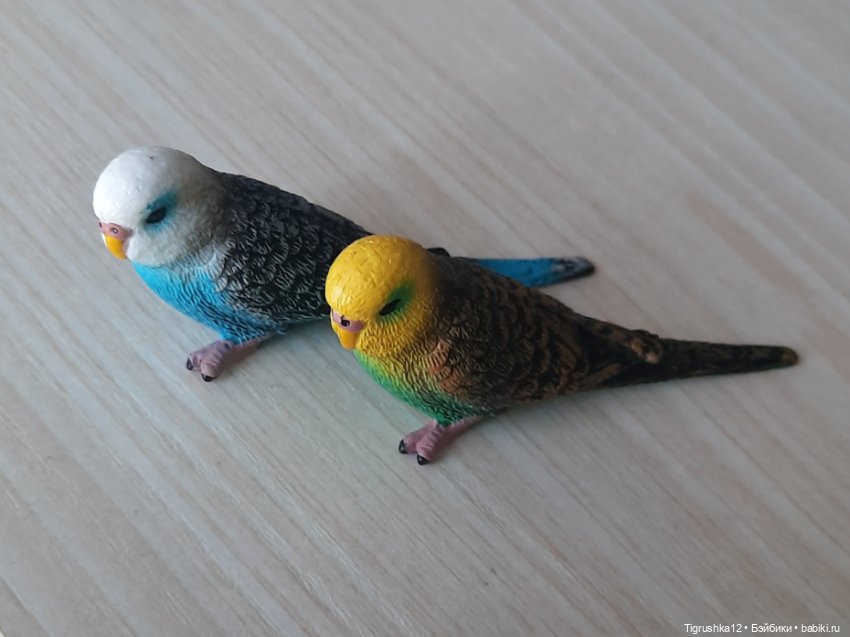Попугайчики — Миниатюра для кукол