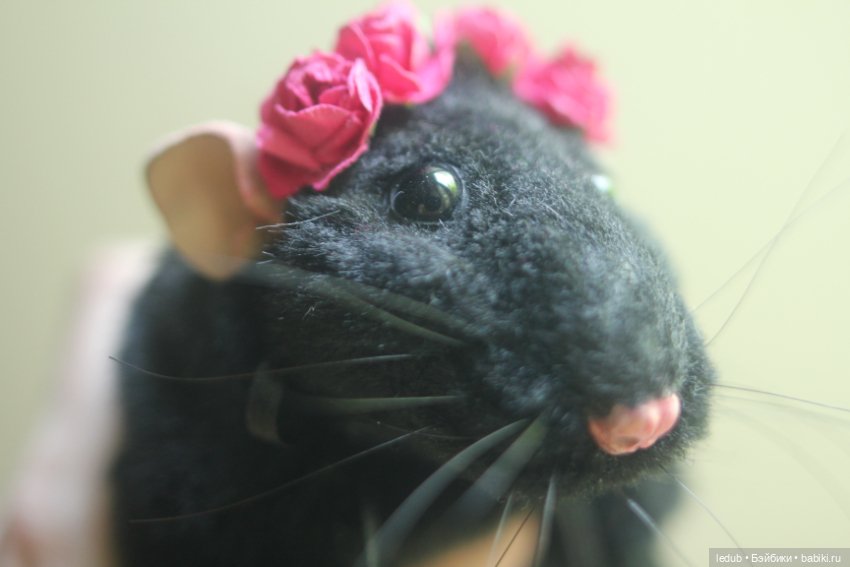 Меховая коллекционная игрушка КрЫсота (фото 3)