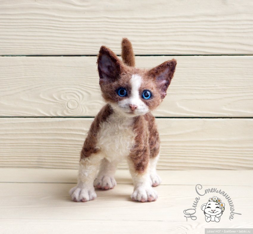 Котенок кудрявый Девон-рекс