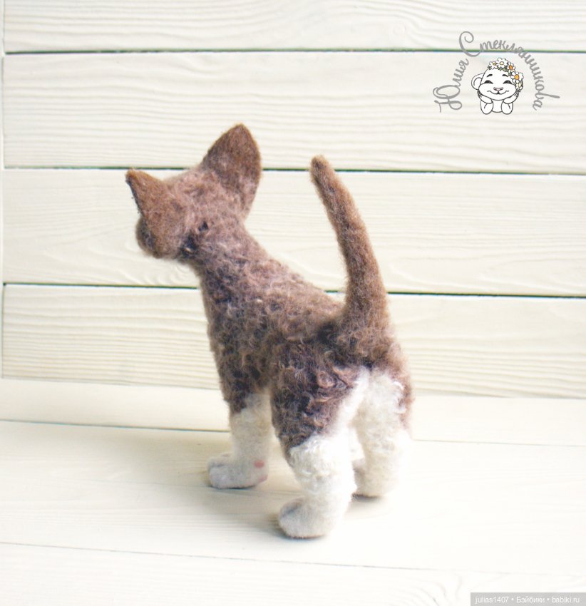 Котенок кудрявый Девон-рекс (фото 5)