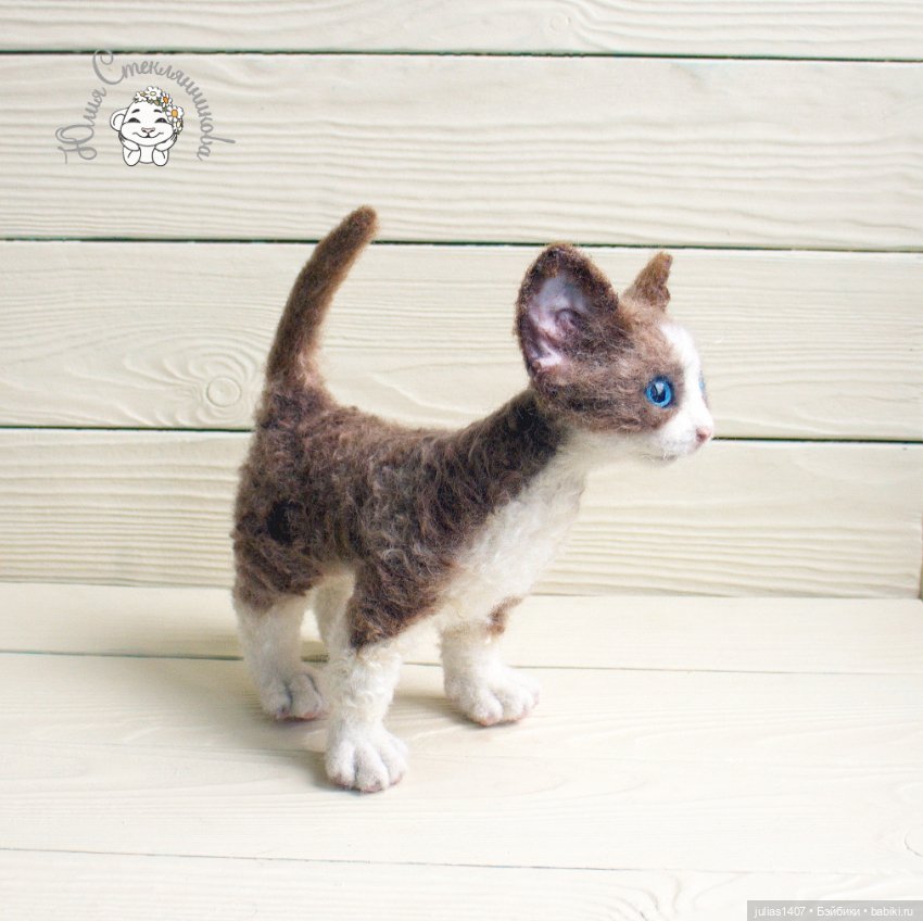Котенок кудрявый Девон-рекс (фото 4)