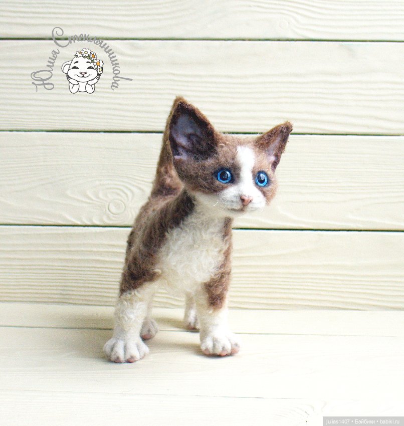 Котенок кудрявый Девон-рекс (фото 7)