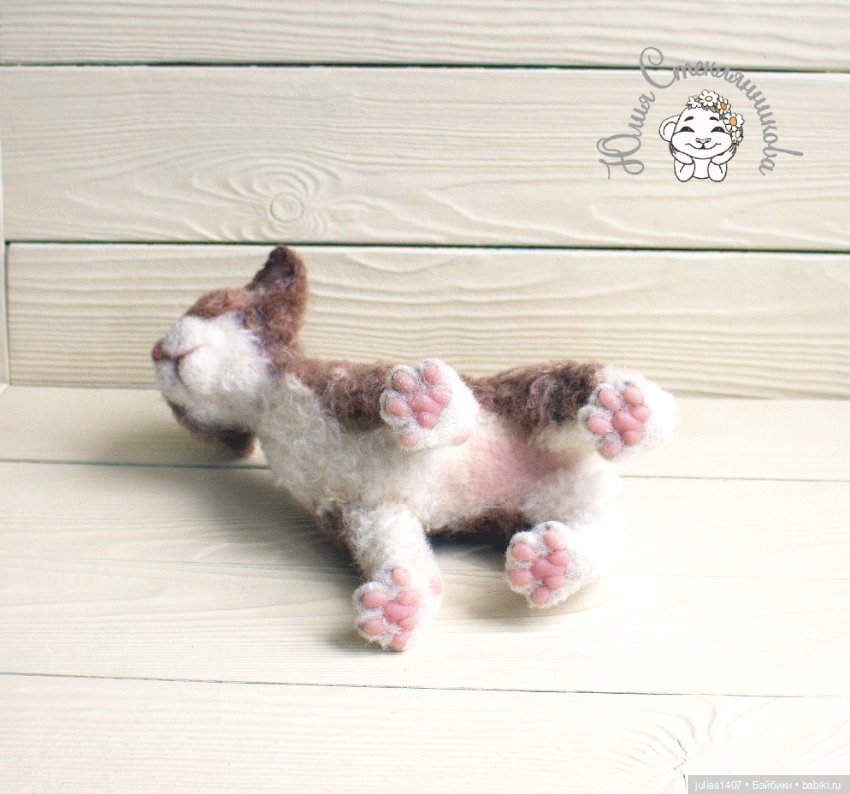 Котенок кудрявый Девон-рекс (фото 6)