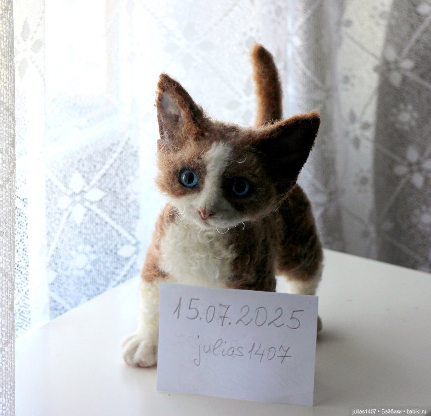 Котенок кудрявый Девон-рекс (фото 8)