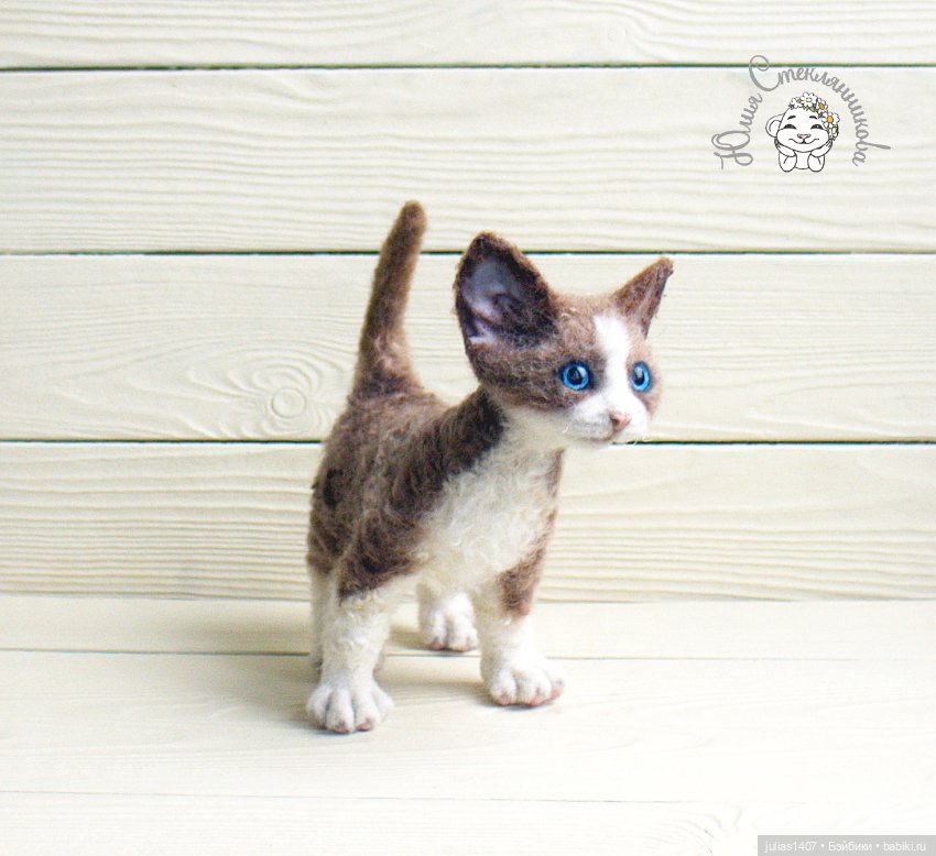 Котенок кудрявый Девон-рекс (фото 2)