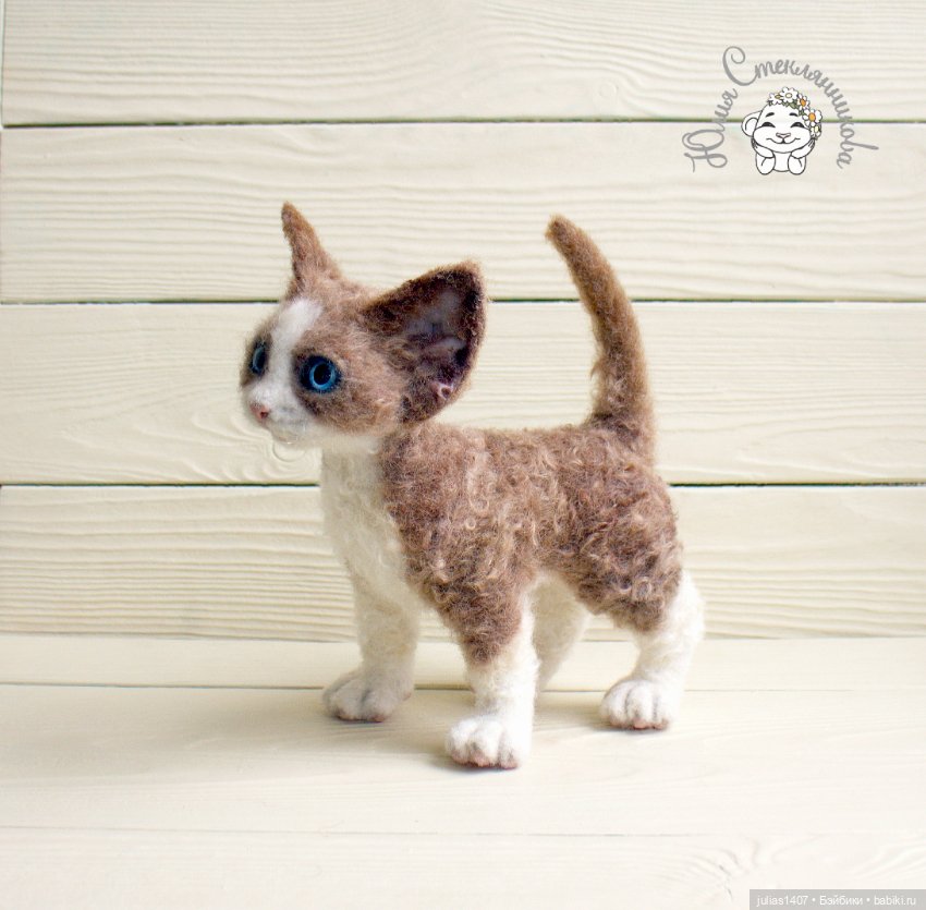 Котенок кудрявый Девон-рекс (фото 3)