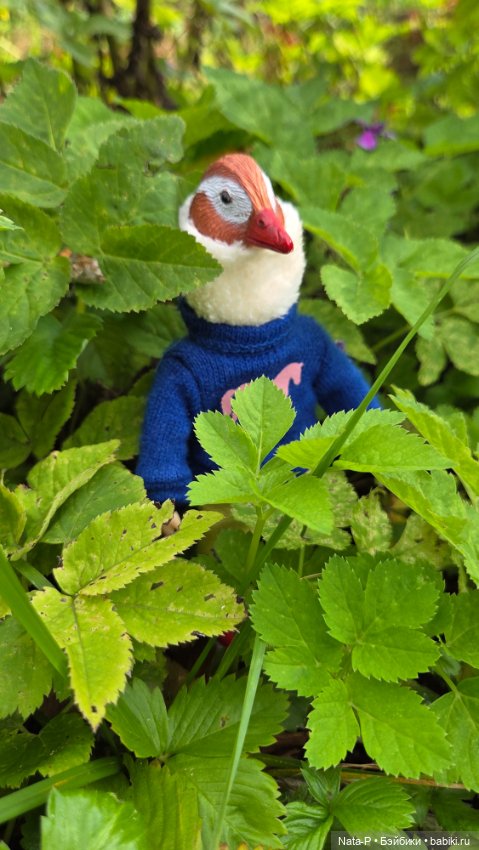 Гусь по авторской технологии (фото 9)