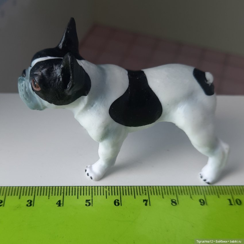 Французский бульдог — Миниатюра для кукол (фото 6)