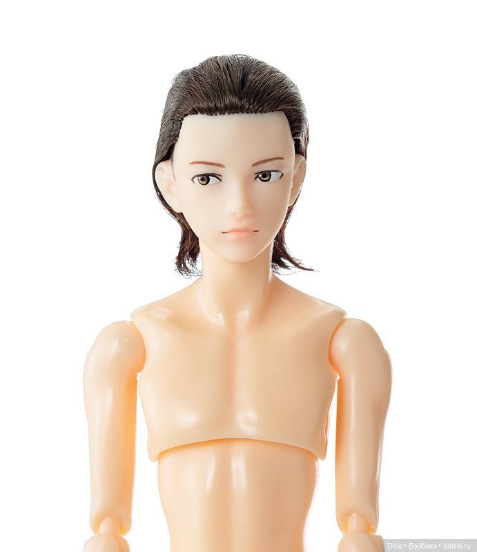 Парень Гангстер Petworks - Gangster, Восьмой (фото 8)