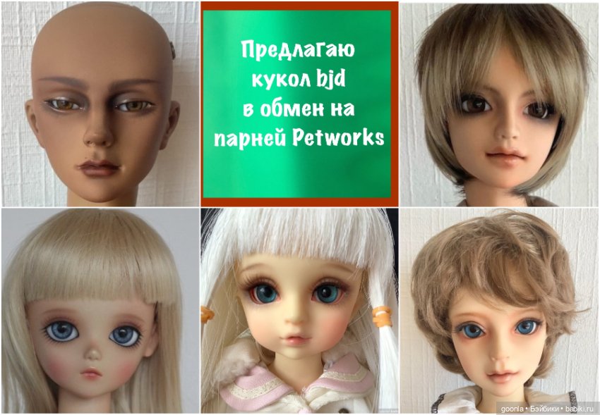 Обмен бжд на парней от Petworks (фото 6)