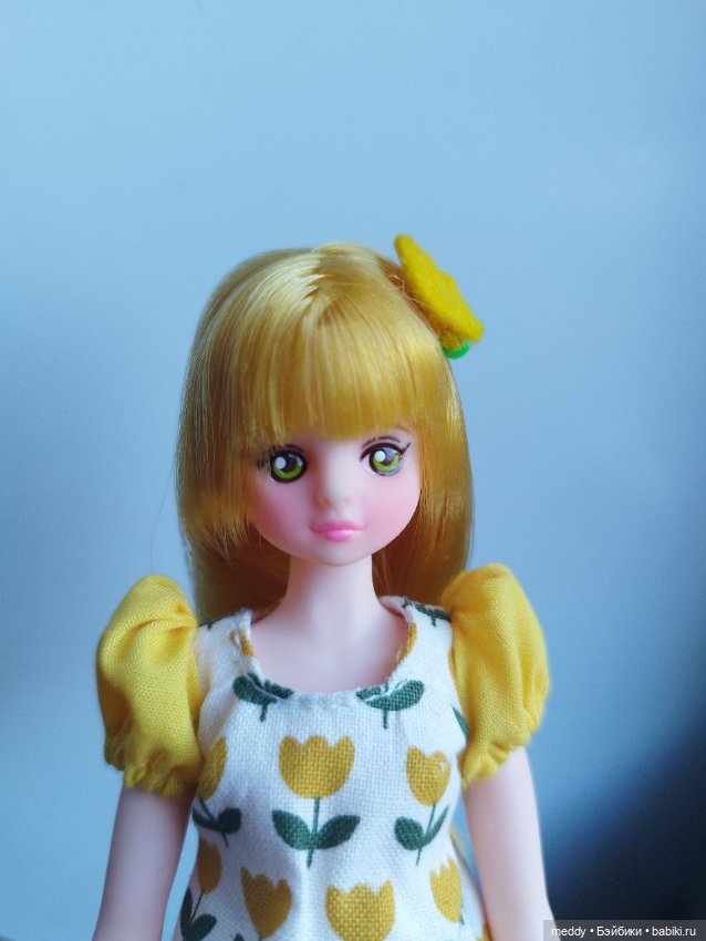 Корейская редкая доран (Dorandoran) (фото 3)