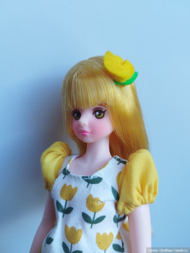 Корейская редкая доран (Dorandoran) (фото 2)