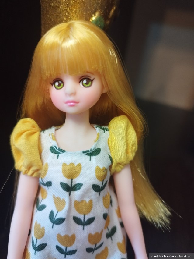 Корейская редкая доран (Dorandoran) (фото 5)