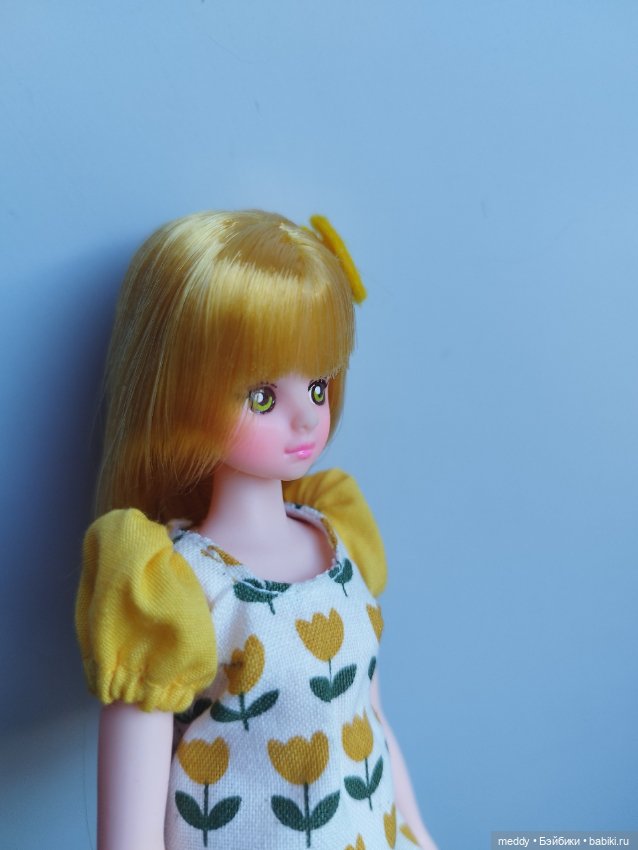 Корейская редкая доран (Dorandoran) (фото 4)