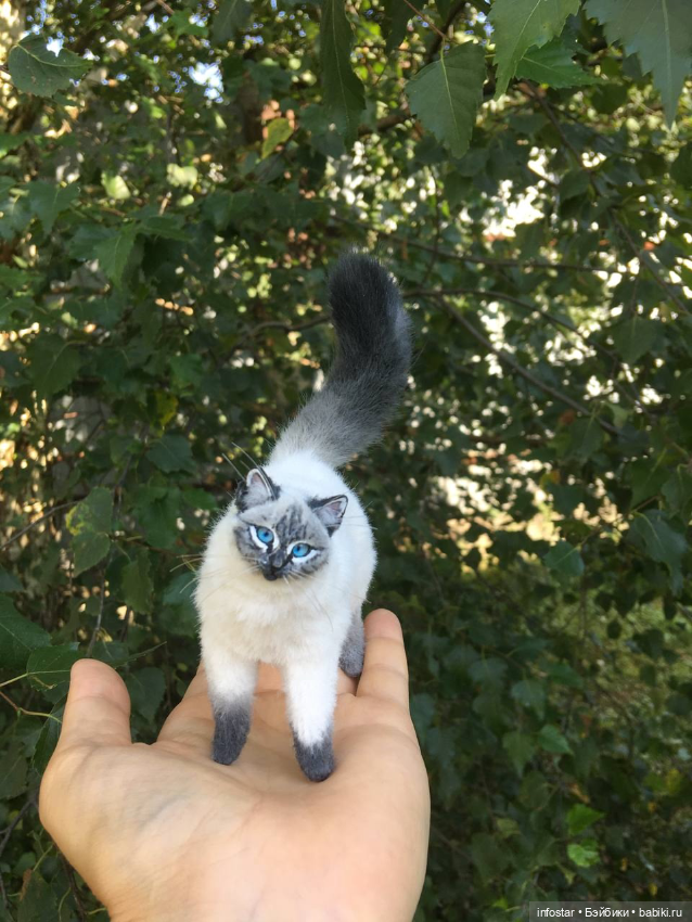 Реалистичная кошечка для формата 1/4 (фото 3)