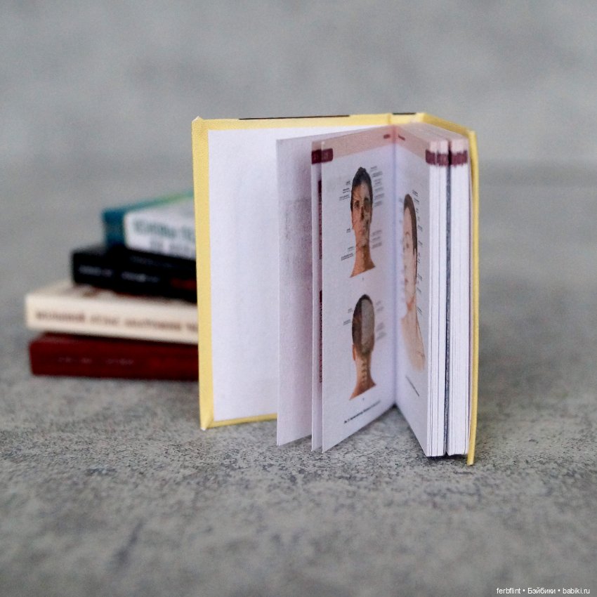 Библиотека медика №1 (масштаб 1:6) (фото 4)