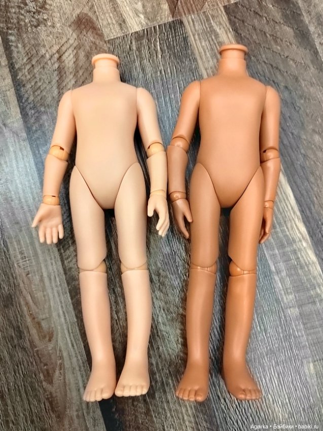 Корейские тела для Паола рейна