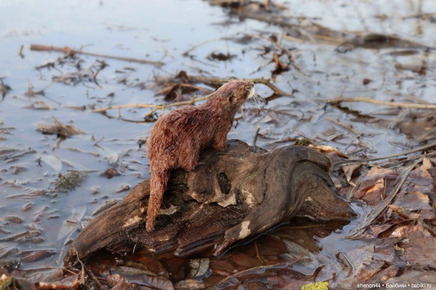 Выдра — Авторские игрушки (фото 2)